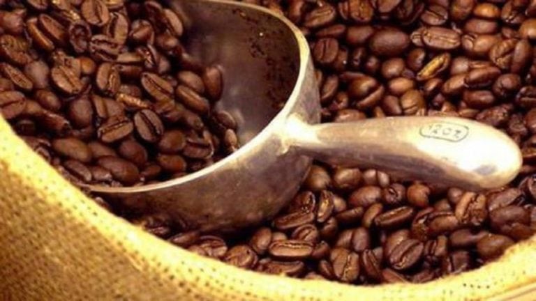 Cameroon Coffee: One Of The Most Charming Coffee in the World