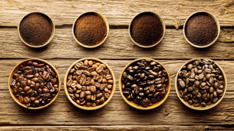 4 Best Common Coffee Bean Varieties: Explore Your Options