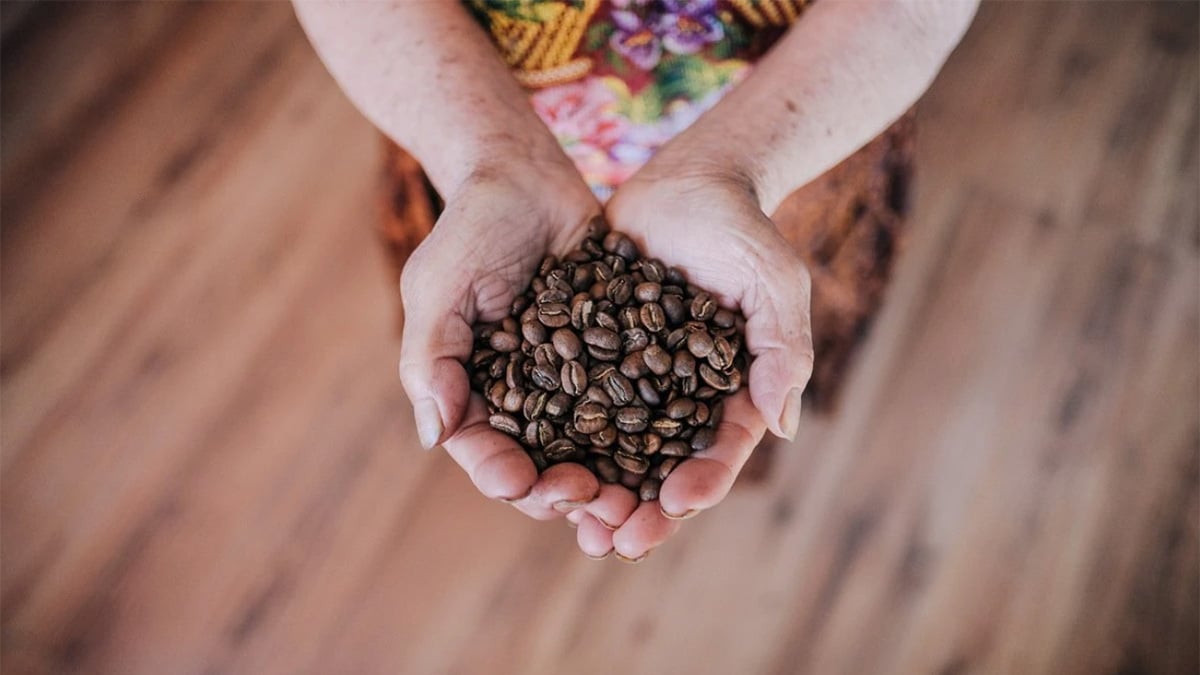 Guatemala Coffee – Nutrient-rich soils and harmonious coffees