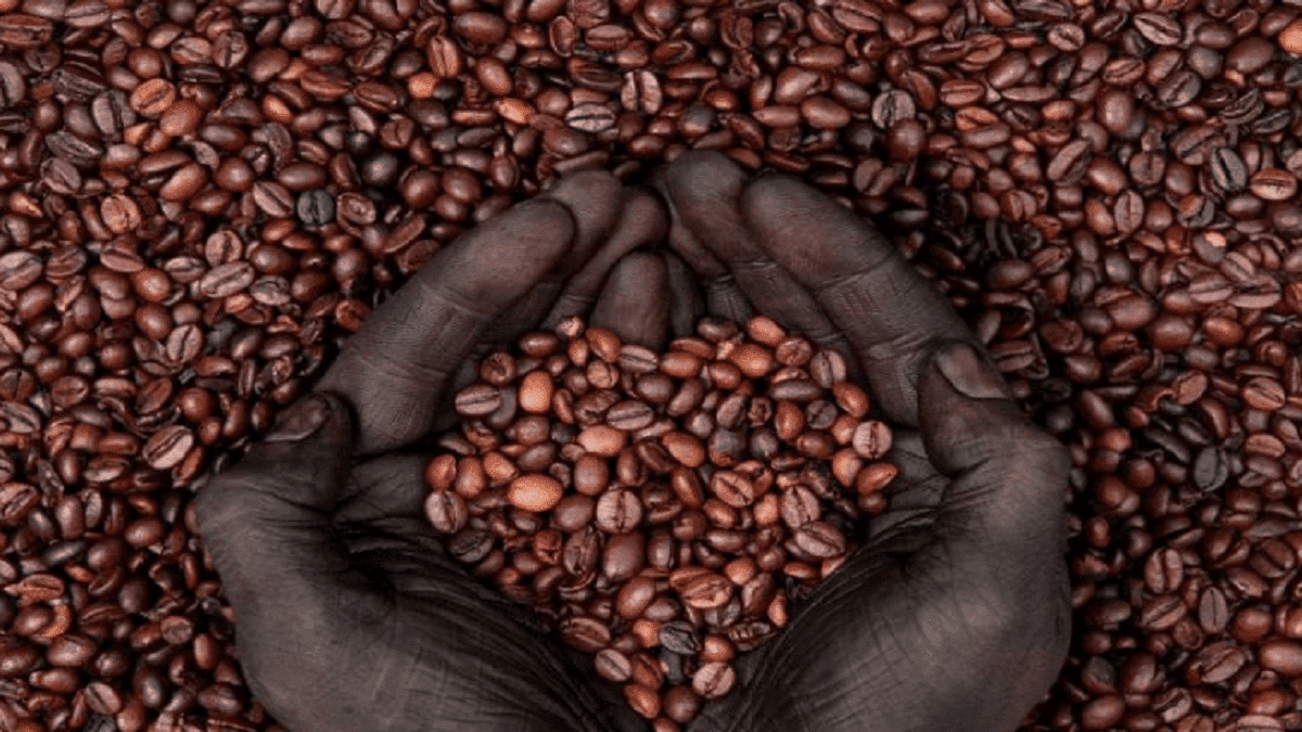 Ethiopian coffee - An Ancient Mesmerizing Brew