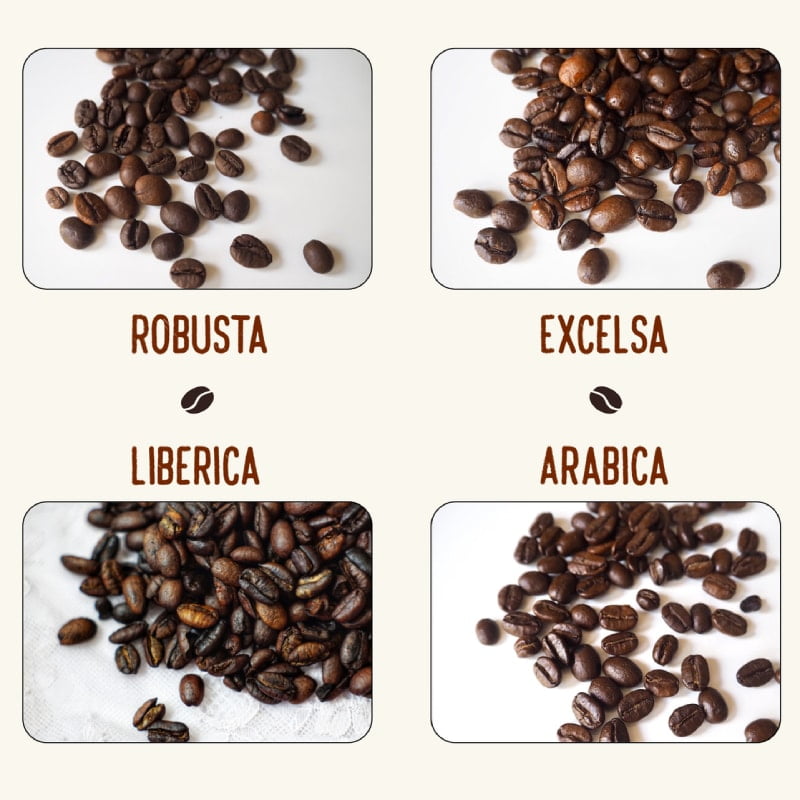 Types of coffee bean