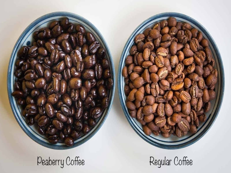 Peaberry coffee bean